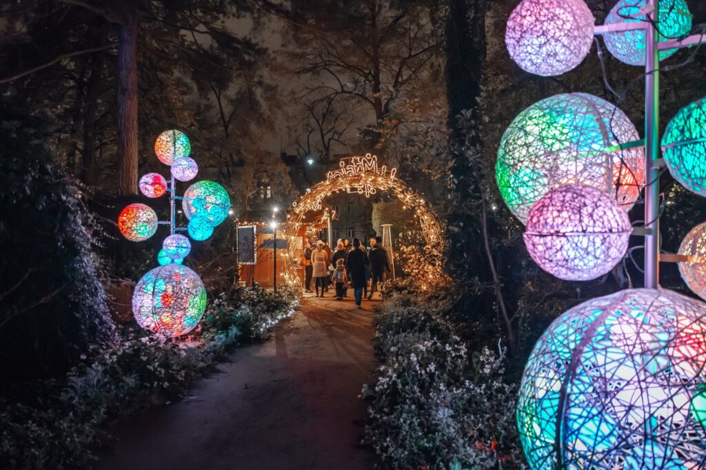 Magiczny Botaniczny